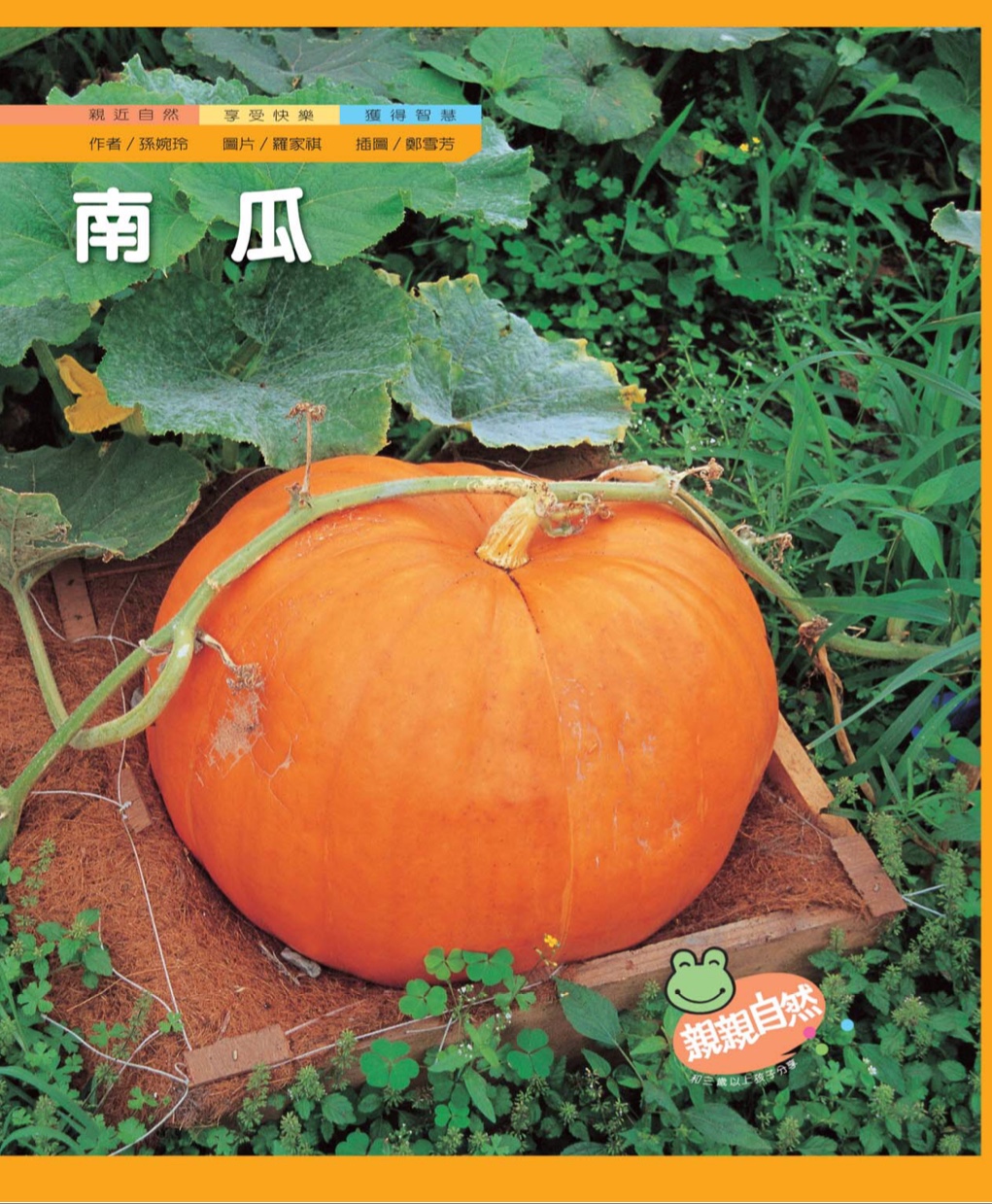 pumpkin theme fall theme toddler kids activities learning Chinese preschool book