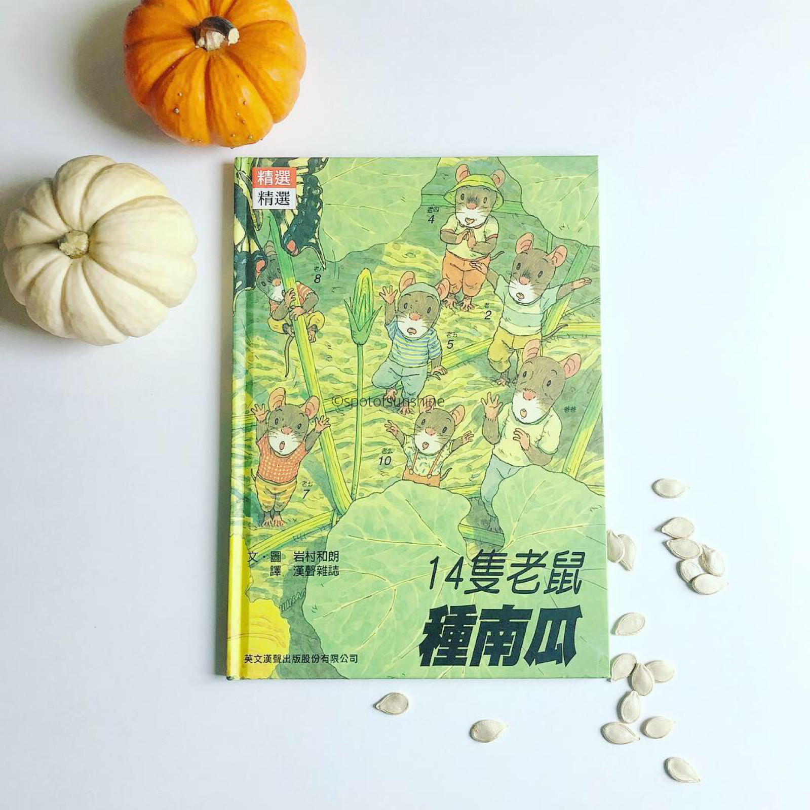 Chinese activities pumpkin theme children's books toddler kid children preschool early childhood education