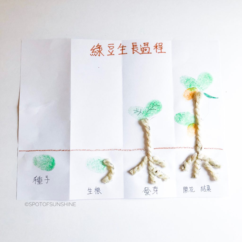 媽媽買綠豆 Chinese learning activity