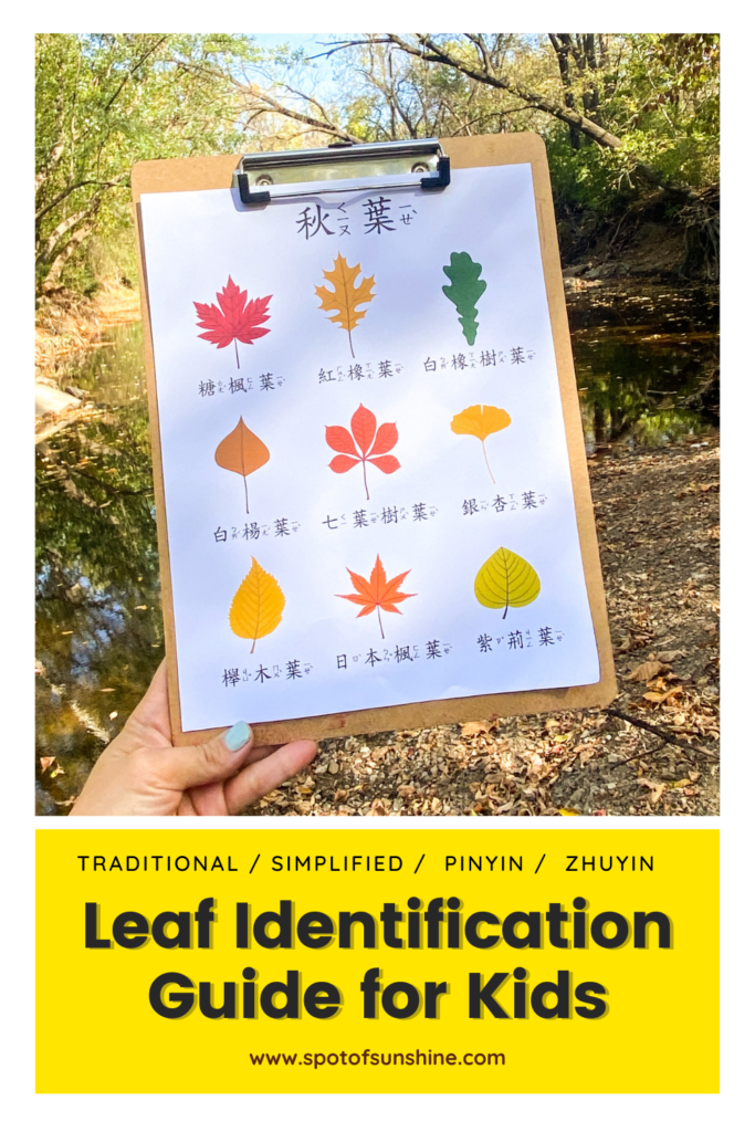 leaf identification guide