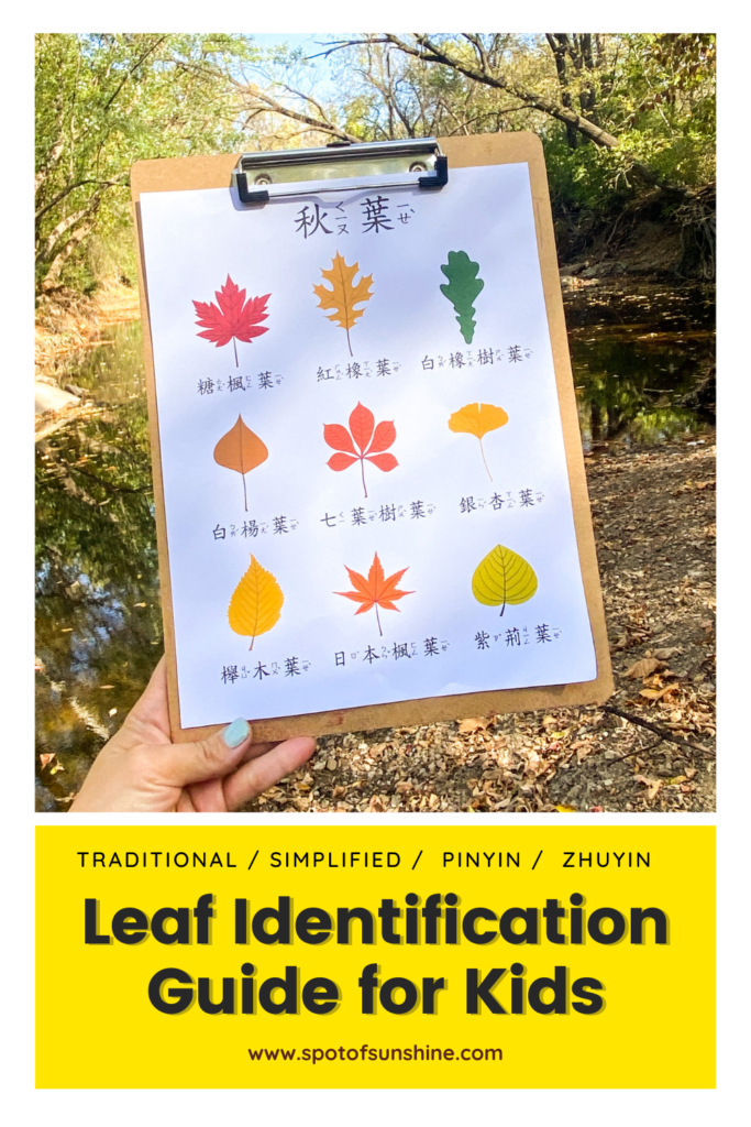 leaf guide with pictures