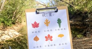 Fall Themed Chinese learning activity