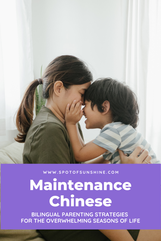 Maintenance chinese bilingual parenting