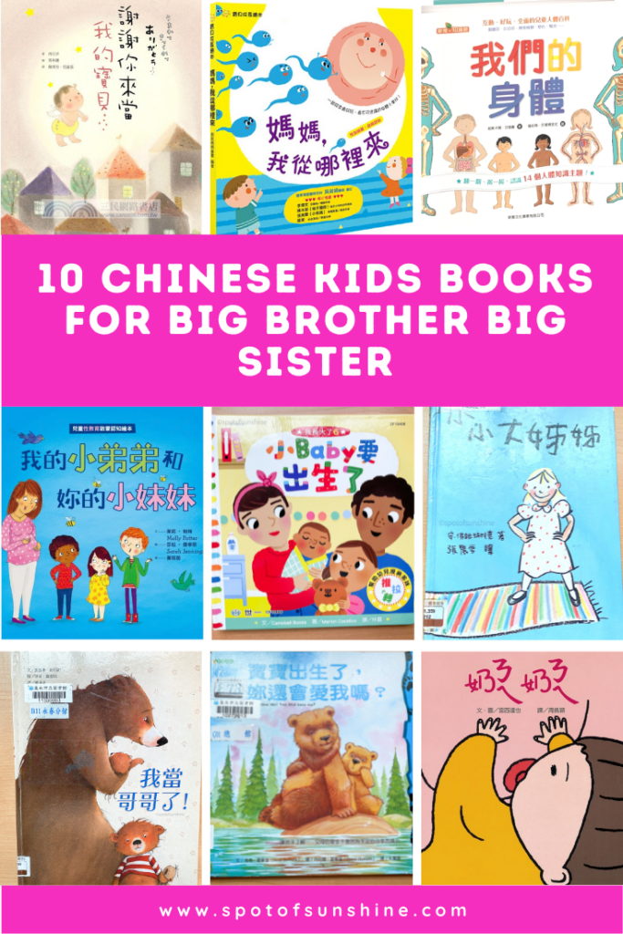 big brother big sister chinese kids books