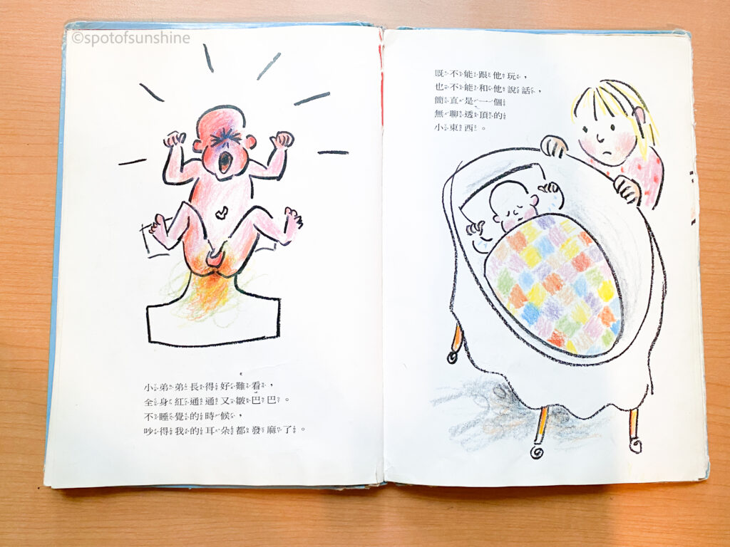 小小大姊姊 chinese kids books for big brother big sister