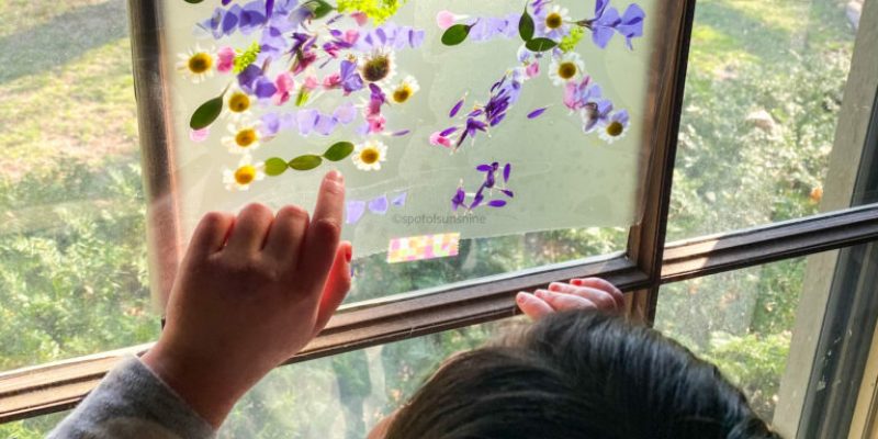 Spring craft for kids sun catcher window art 春天